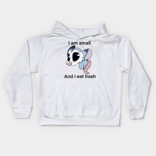 I am small and I eat trash possum Kids Hoodie